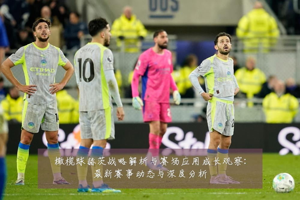橄榄球赫茨战略解析与赛场应用成长观察:最新赛事动态与深度分析