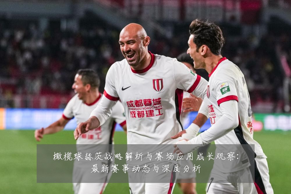 橄榄球赫茨战略解析与赛场应用成长观察:最新赛事动态与深度分析
